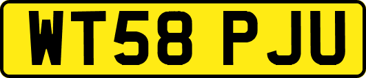 WT58PJU