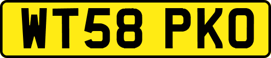 WT58PKO