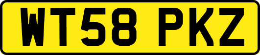 WT58PKZ