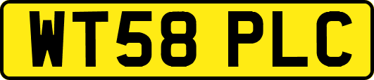 WT58PLC