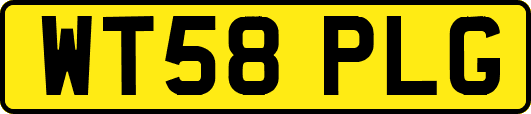 WT58PLG