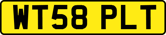 WT58PLT