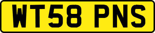 WT58PNS