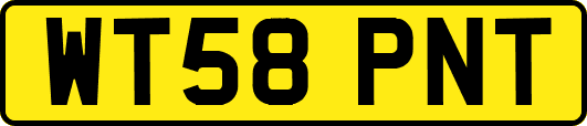 WT58PNT