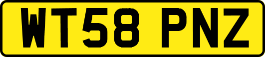 WT58PNZ