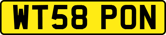 WT58PON