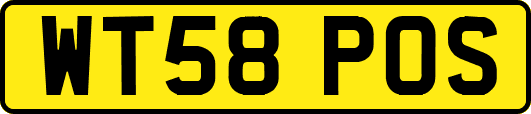 WT58POS