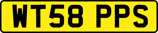 WT58PPS