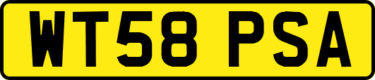 WT58PSA