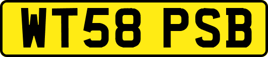 WT58PSB