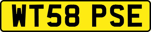 WT58PSE