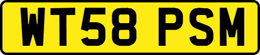 WT58PSM