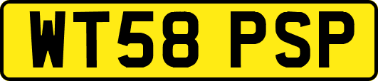 WT58PSP