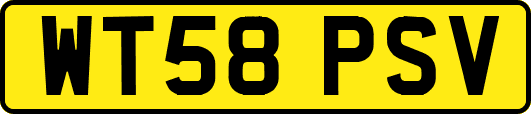 WT58PSV