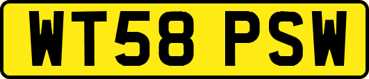 WT58PSW