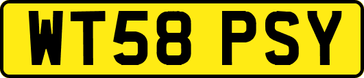 WT58PSY