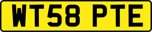 WT58PTE