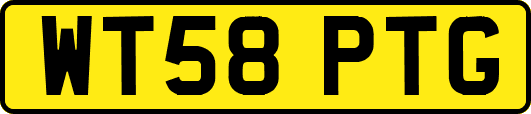 WT58PTG