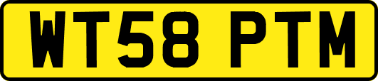 WT58PTM