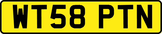 WT58PTN