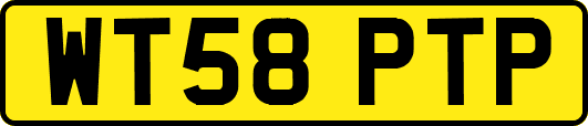 WT58PTP
