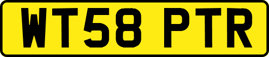WT58PTR