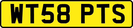 WT58PTS