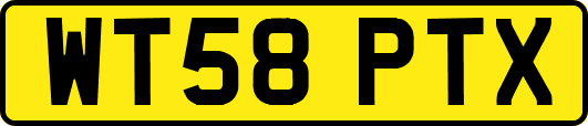 WT58PTX