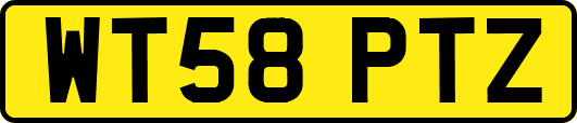 WT58PTZ
