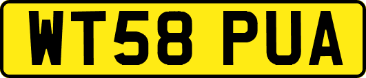 WT58PUA