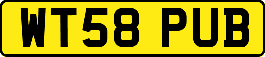 WT58PUB