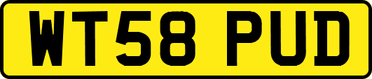 WT58PUD