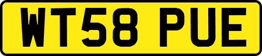 WT58PUE