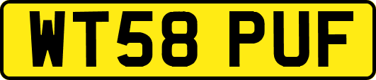 WT58PUF