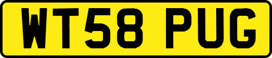 WT58PUG