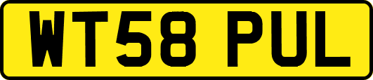 WT58PUL