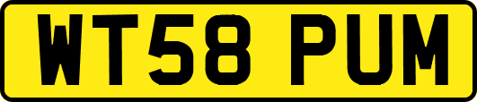 WT58PUM