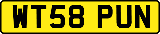 WT58PUN