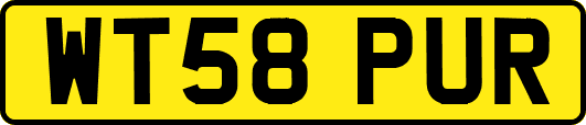 WT58PUR