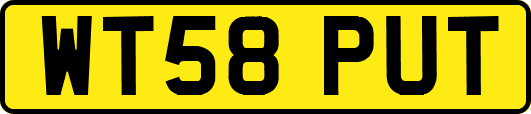 WT58PUT