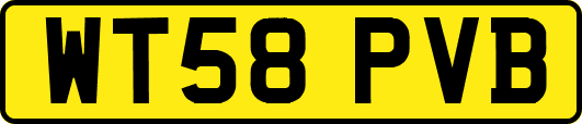 WT58PVB