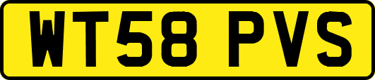 WT58PVS