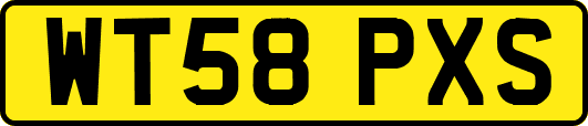 WT58PXS