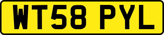 WT58PYL