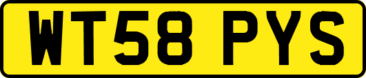 WT58PYS