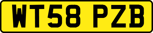 WT58PZB
