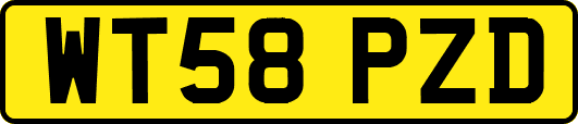 WT58PZD