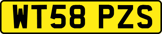 WT58PZS