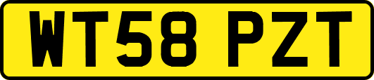 WT58PZT