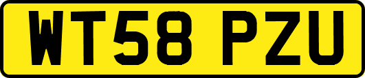WT58PZU